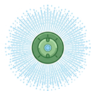 Circular Sprinkler Icon